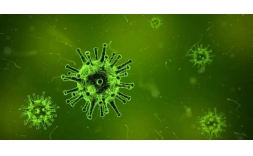 两项抗病毒抗菌涂料团体标准预计十一月发布